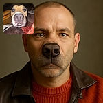 A close-up photo of a curious dog with a large nose taking center stage, surrounded by a cozy indoor setting with a leather bag and a red blanket visible. The dog's eyes reflect the camera flash, giving it a slightly startled yet adorable expression.
