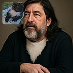 A fluffy tuxedo cat lounges regally on a weathered white wooden bench outdoors, basking in the soft golden light of sunset with a serene, contemplative expression, while a colorful tile rests nearby adding a splash of whimsy.