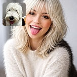 A fluffy white and black dog with a big nose and tongue out, sitting indoors on a wooden floor next to a gray wall, wearing a colorful rainbow leash. Its fur is so thick it almost hides its eyes, making it look like a furry cloud with a happy face.