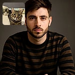 Two cats lounging on a bed with a floral pillow in the background; the closest cat is looking directly at the camera with intense green eyes while the other cat reclines behind, giving a relaxed and cozy vibe.