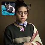 A cute French Bulldog puppy wrapped snugly in a cozy white and pink blanket, sitting on a vibrant blue fluffy surface with a matching pillow in the background. The pup wears a purple collar adorned with a flower and a bone-shaped tag, looking curiously at the camera with big ears perked up.