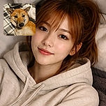 A close-up photo of a relaxed Shiba Inu dog lying on a patterned blanket with cozy, soft fabrics around. The dog's expressive eyes and fluffy fur are captured in warm lighting, giving a homely and comforting vibe.
