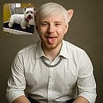 A freshly groomed white dog, possibly a West Highland Terrier, stands on a grooming table with its tongue out, looking cheerful and fluffy against a yellow and tiled background.