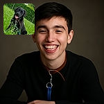 A happy black dog with a shiny coat sits in a lush green field of tall grass and small white flowers, tongue out and leash visible, with a dense green hedge and trees in the background under a bright sky.