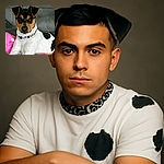 A charming dog with a black, brown, and white coat lounges comfortably on a couch, resting against a pink pillow with a floral design. The dog wears a black and white patterned collar and gazes attentively at the camera with soulful eyes, while the background features a gray couch with visible stitching.
