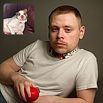 A laid-back dog chilling on a worn-out leather couch, clutching a red toy ball with a look that says, 'I own this couch and this toy, deal with it.'