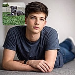 A charming gray puppy lounges on vibrant green grass, looking off to the side with an adorable, thoughtful expression. The background features a textured stone wall and some greenery, adding a natural and cozy touch to the scene.