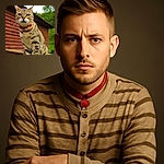 A regal tabby cat with a striking red collar sits proudly on a wooden railing, gazing intently at the camera with its piercing green eyes. The background features a rustic wooden building and lush greenery, giving the scene a cozy, countryside vibe.