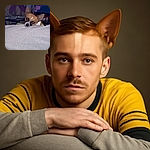 A small dog with large ears peeks over a gray couch or blanket, looking relaxed but slightly curious. Behind it, a purple fan and some household items create a cozy indoor setting.