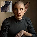 A curious Sphynx cat with large ears and striking yellow eyes stares intently at the camera, perched on a soft blue blanket in front of a sheer white curtain, showcasing its unique wrinkled skin and elegant posture.