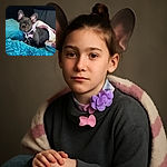 A cute French Bulldog puppy wrapped snugly in a cozy white and pink blanket, sitting on a vibrant blue fluffy surface with a matching pillow in the background. The pup wears a purple collar adorned with a flower and a bone-shaped tag, looking curiously at the camera with big ears perked up.