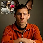 A curious dog with large ears and soulful eyes lounges comfortably on a cozy gray blanket draped over a couch, surrounded by soft pillows and a vibrant pink cloth, capturing a moment of calm and attentive companionship indoors.