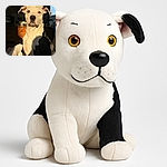 A striking black and white dog sits majestically basking in warm sunlight indoors, with a cozy kitchen background and a pair of feet in white socks visible in the foreground, adding a relaxed homey vibe.