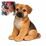 A cozy puppy is taking a peaceful nap on a black chair, with a bright red fabric in the background and sunlight highlighting its fur, making it look extra fluffy and warm.