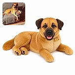 A cheerful dog lounges like the undisputed king of the couch, one paw draped dramatically over the edge while guarding a squeaky orange toy. Behind him, a fish swims through an aquarium as if providing live entertainment for this very relaxed household celebrity.