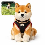 A Shiba Inu dog is sitting calmly on a sunlit grassy field with a dense bamboo backdrop, wearing a harness and leash, looking like it's guarding its green kingdom.