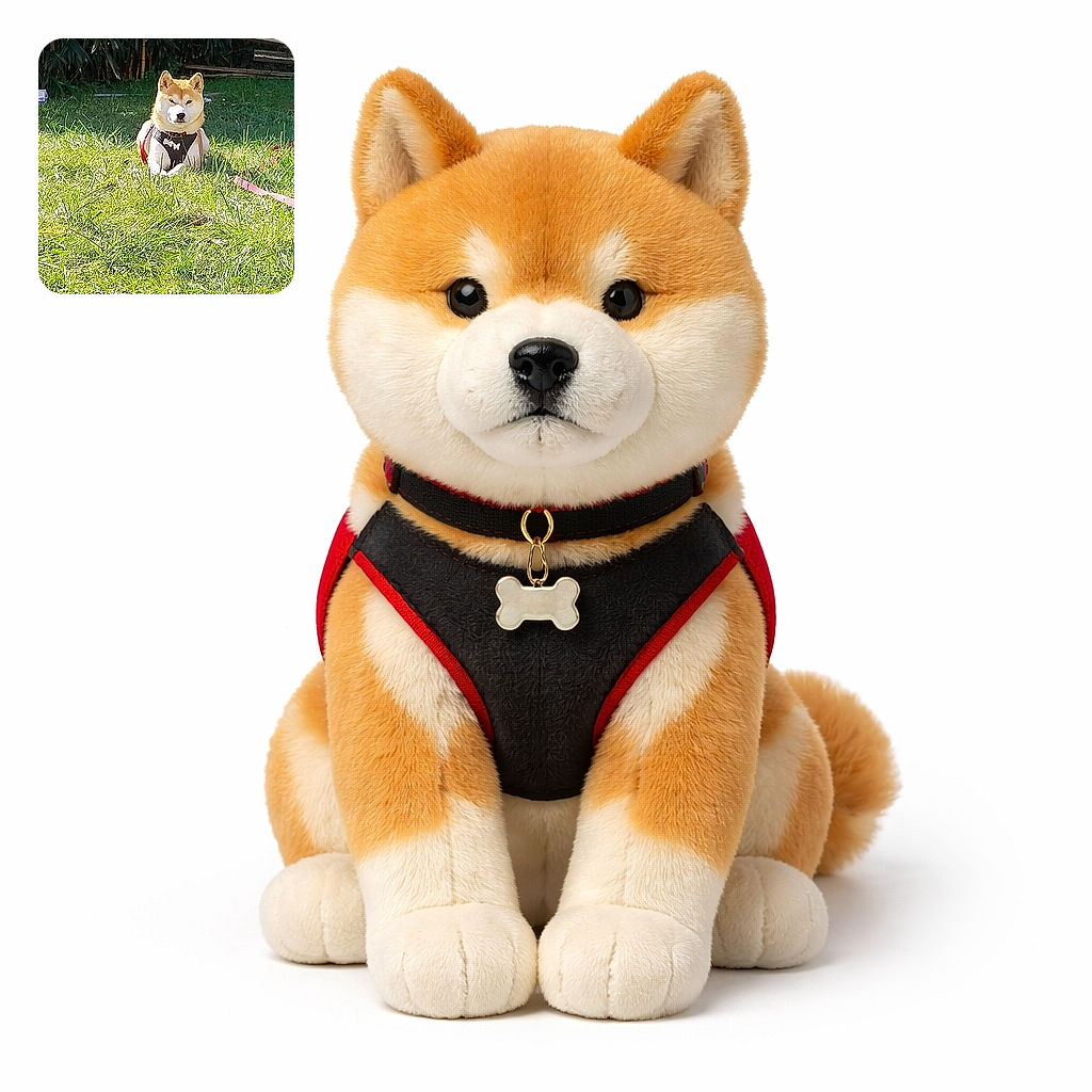 A Shiba Inu dog is sitting calmly on a sunlit grassy field with a dense bamboo backdrop, wearing a harness and leash, looking like it's guarding its green kingdom.