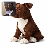 A thoughtful brown and white dog lounges on a couch, gazing intently to the side with a backdrop of a textured wall showing patches of peeling paint, creating a rustic and cozy atmosphere.