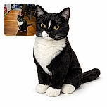 A curious tuxedo cat with striking yellow eyes sits attentively on a warm wooden floor in a cozy kitchen setting, surrounded by everyday household items and furniture, looking ready to pounce or demand attention.