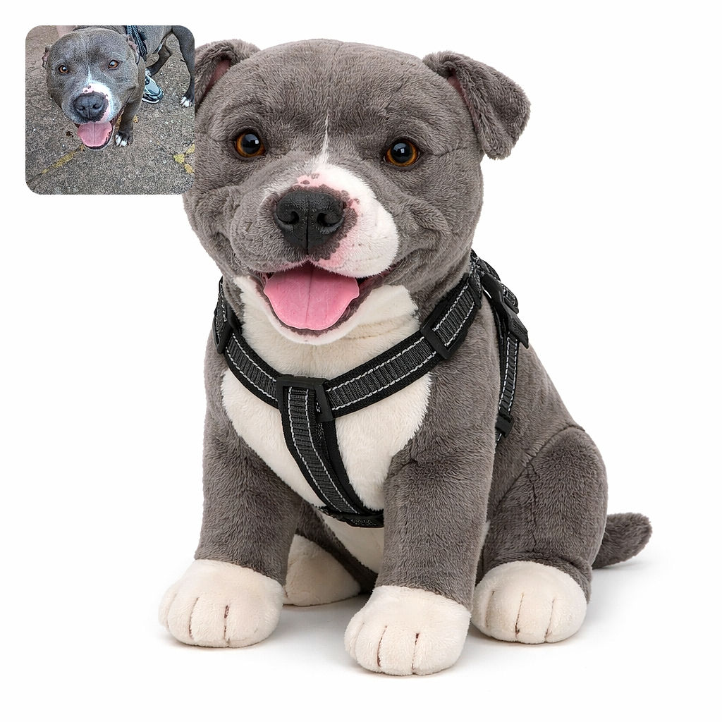 A goofy gray pup grinning ear-to-ear with tongue out, wearing a harness while a human hand steadies the superstar. Close-up of the dog's happy face and paws on cracked pavement, a sneaker and legs visible in the background — pure backyard charm and slobbery joy.