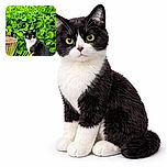 A sleek black and white cat with captivating eyes sits gracefully on a stone surface surrounded by lush green foliage and a rustic plant pot, looking like the regal guardian of the garden.