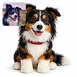A happy and fluffy dog with a tricolor coat is captured outdoors during sunset, looking alert and joyful with its tongue slightly out, surrounded by a natural grassy field and a soft pastel sky.