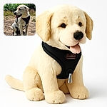 A charming yellow labrador retriever sits patiently on a patch of dry grass, tongue out and wearing a black harness, with a lush green blurred background that hints at a serene outdoor setting.