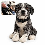 A cozy indoor scene showing a bald man in a black hoodie lovingly holding a black and white dog with striking eyes, sitting on a brown couch. The background features rustic decor including mounted animal skulls and a taxidermy bird, adding a quirky hunting lodge vibe.