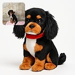 A charming black and tan dog with a red collar sits obediently on a pink patterned blanket against a rustic, weathered concrete wall, looking curiously at the camera with floppy ears and expressive eyes.