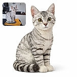 A charming silver tabby cat sits elegantly on a neatly folded yellow towel atop a black marble countertop, gazing curiously at the camera with bright amber eyes. The kitchen background is softly blurred, emphasizing the cat's detailed fur pattern and poised posture.