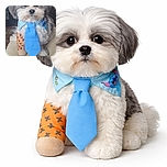 A fluffy dog dressed to impress with a bright blue tie and a cute bandage on one paw, sitting patiently on a beige surface with a cozy living room backdrop.