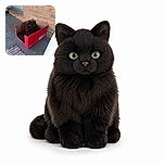 A serious-looking black cat sits perfectly snug in a bright red cardboard box, giving the impression that it has just claimed a tiny throne on the porch. Brick walls, a doormat, and a colorful woven rug complete the cozy doorstep scene.