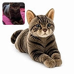 A serious-looking tabby cat sits upright on a vivid pink blanket, paws crossed like a tiny furry aristocrat waiting for its afternoon tea. Its enormous ears and wide eyes give it the expression of a feline security guard who has spotted suspicious snack activity.