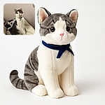 A poised tabby and white cat sitting elegantly on a chunky knitted blanket with a black and white patterned pillow in the background, looking curiously at the camera with bright eyes and a cute collar.