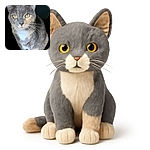 A close-up photo of a gray and tan cat with white paws and chest, sitting and looking directly at the camera with bright yellow eyes, isolated on a black background.