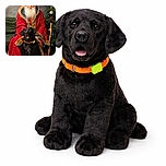 A cozy holiday portrait featuring a jolly Santa-like figure in a red fur-trimmed cloak sitting beside a large black dog wearing an orange collar. The scene is set indoors with a decorated Christmas tree and a wooden cane, evoking warm festive vibes.