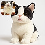 A fluffy white and black cat with striking green eyes gazes upwards with a curious and slightly surprised expression, perched on a wooden surface in a cozy indoor setting.