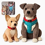 Two dogs sitting closely together on a dark surface, one small tan dog with a red collar and one larger gray dog with a blue harness and red collar, both looking attentively to the side in an indoor setting with soft lighting.