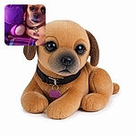 A dramatically filtered little dog stares into the camera like it has just discovered the secrets of the neon universe, while a purple plush companion lounges beside it. The image looks more like a surreal music-video poster than a normal pet portrait.