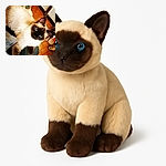 A fluffy Siamese cat with striking blue eyes lounges comfortably on a cozy fabric surface, gazing curiously at the camera. The warm-toned tiled floor and furniture in the background add a homely touch to this candid moment.
