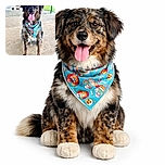 A happy dog with a colorful bandana sits obediently on a concrete floor in front of a chain-link fence, tongue out and eyes bright, looking ready for an adventure or a treat.