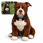 A serious-looking brown and white dog sits attentively on a grassy patch near a rustic wooden bench, giving off major 'guarding the yard' vibes with its focused gaze and strong posture.