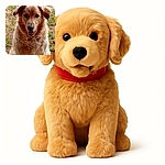 A fluffy golden retriever sits attentively outdoors on a patchy grassy area, looking directly at the camera with a happy expression and slightly open mouth, capturing the lovable essence of a friendly dog enjoying nature.
