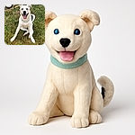 A happy dog with striking blue eyes sits on a patchy grassy lawn, tongue out in a big smile, looking ready for a game or a belly rub. A white bowl sits nearby, hinting at a recent snack or water break.