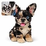 A playful small dog with a unique merle coat and heterochromia (one blue eye, one brown eye) looks up excitedly with its tongue out, sitting on a beige mat near a door. A foot wearing a black sock labeled 'DRI-FIT' is visible at the bottom, and a cozy blue dog bed is nearby on the wooden floor.