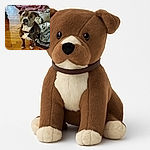 A charming dog with a curious expression sits attentively on a wooden floor next to a cozy pile of blankets, looking like it just heard the word 'treat'. The warm indoor lighting adds a homey vibe to the slightly blurry but heartfelt snapshot.