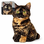 A close-up portrait of a tortoiseshell cat with bright green eyes staring intently. The background is simple with a decorative mirror, highlighting the cat's striking fur pattern and curious expression.