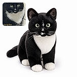 A sharply focused tuxedo cat stares into the camera with the serious expression of a tiny courtroom judge, proudly displaying its snowy bib, white paws, and magnificent whiskers. The yellow creator text and small watermark sit over the image, while the tiled background keeps things simple.
