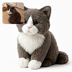 A fluffy gray and white cat sits on a wooden floor, looking up with curious green eyes. Nearby, a cozy slipper and a clear plastic container add to the homey, casual vibe of the scene.