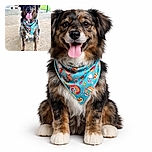 A happy dog sporting a colorful bandana with skulls and beach motifs sits on a concrete floor with a chain-link fence and green grass in the background, tongue out and ready for fun.
